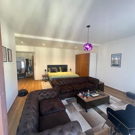 Magnificent Apartment, Geneva Center, Geneva Lake Buitenkant foto