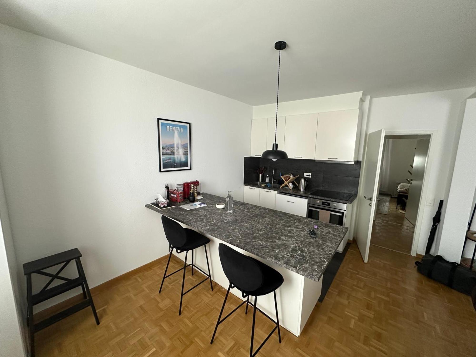 Magnificent Apartment, Geneva Center, Geneva Lake Buitenkant foto
