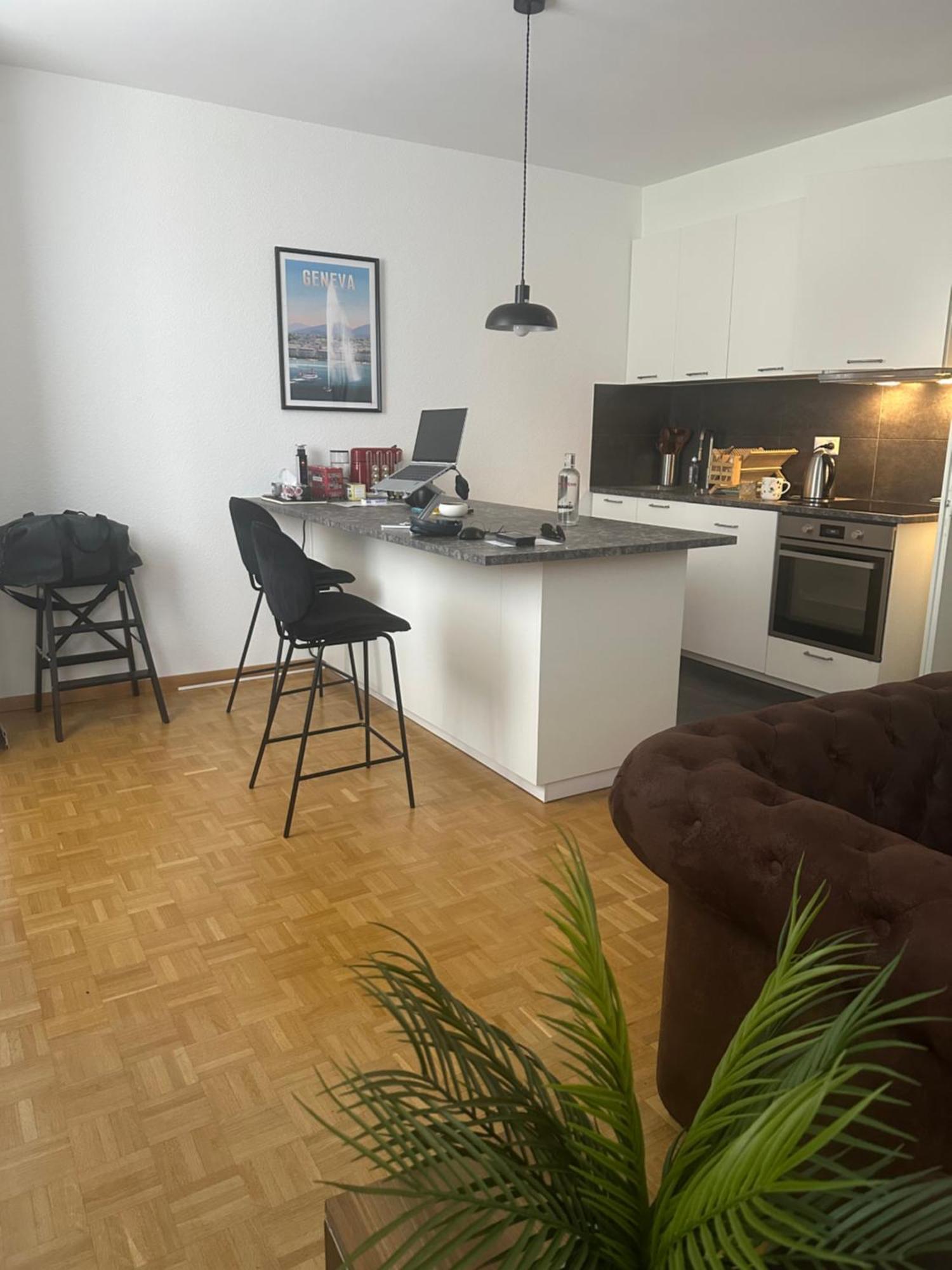 Magnificent Apartment, Geneva Center, Geneva Lake Buitenkant foto