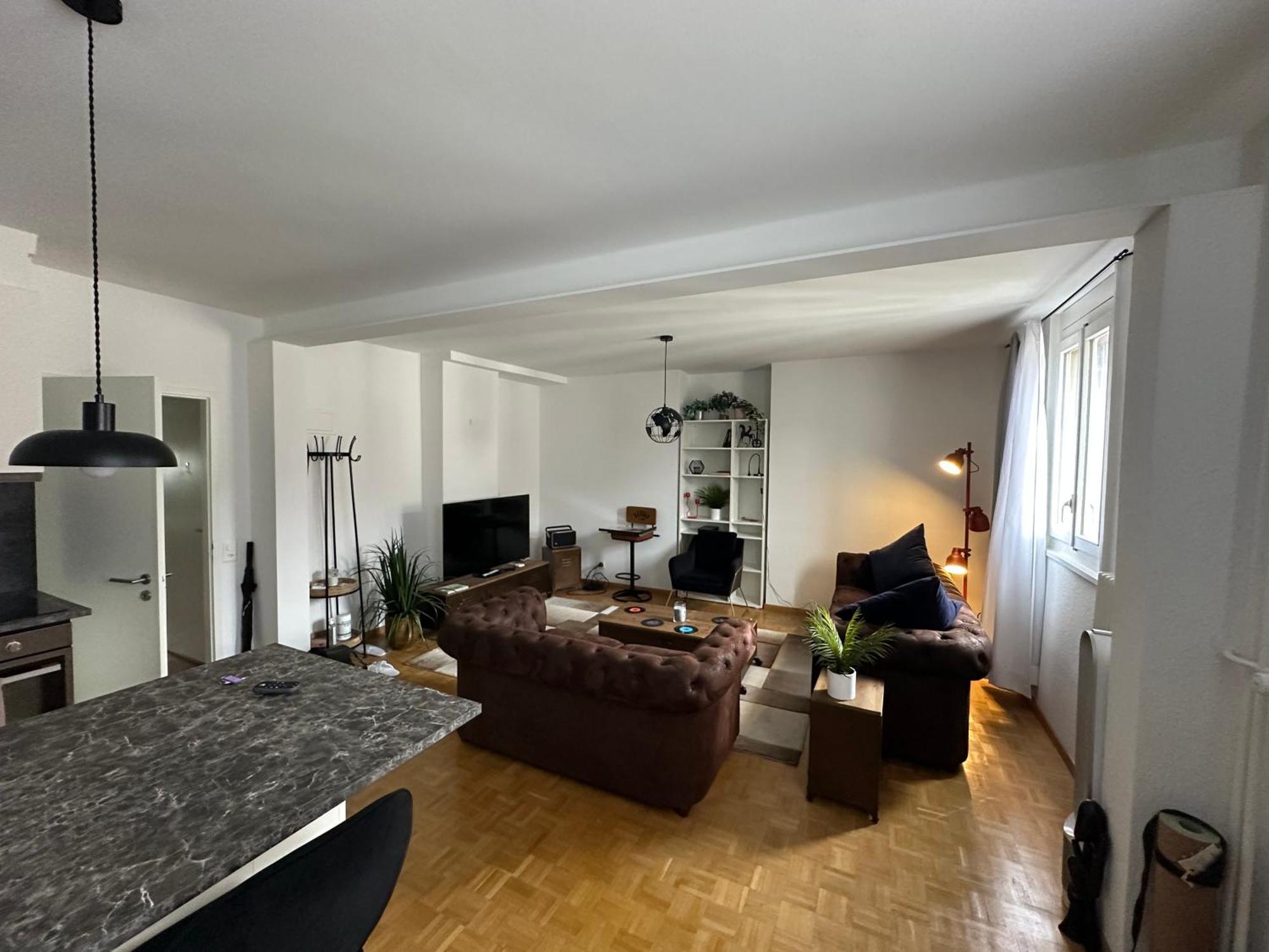 Magnificent Apartment, Geneva Center, Geneva Lake Buitenkant foto